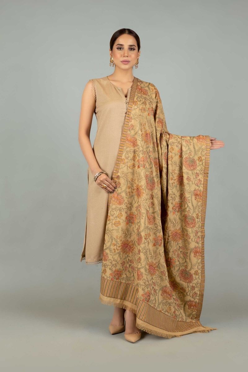 bareeze embroidered dhanak suit